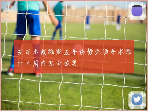 安东尼戴维斯左手伤势无须手术预计六周内完全恢复