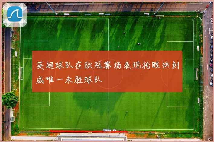 英超球队在欧冠赛场表现抢眼热刺成唯一未胜球队